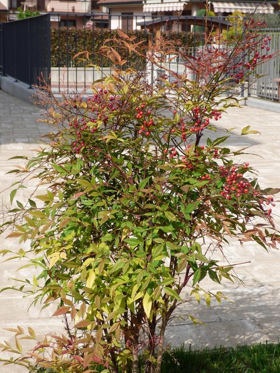 Giravento Bed & Breakfast Borgo San Dalmazzo Exterior photo